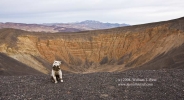 08nov11_bruiser_at-ubehebe_crater_5504