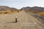 08nov11_bruiser_at_teakettle_junction_5502