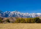 08nov11_sierra_54442