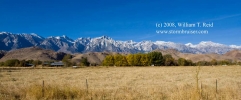 08nov11_sierra_5446