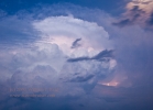 090505_ranger_tx_7141