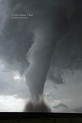 10May31_Campo_CO_2388